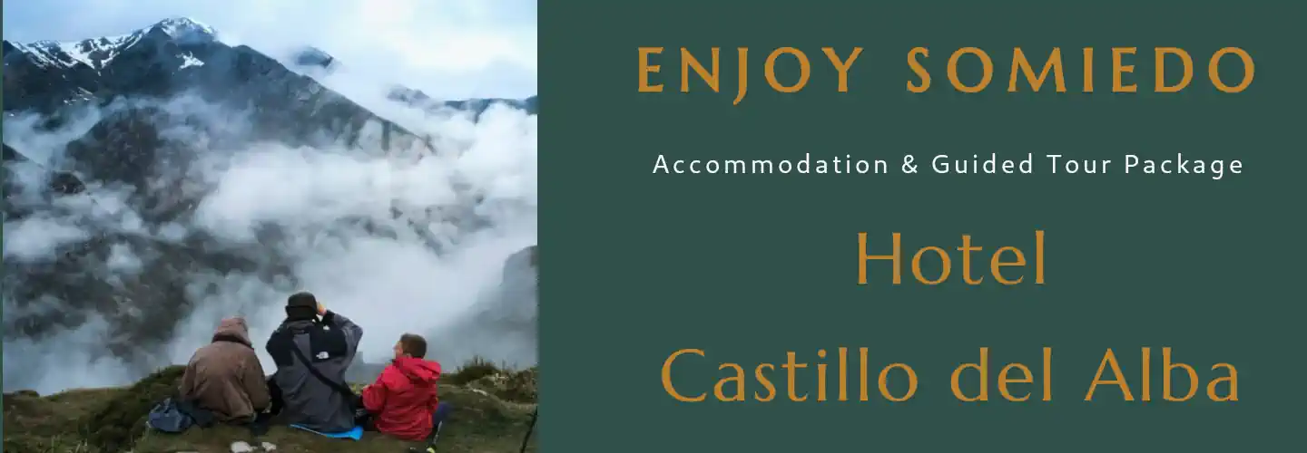 Accommodation & Guided Tour Package 