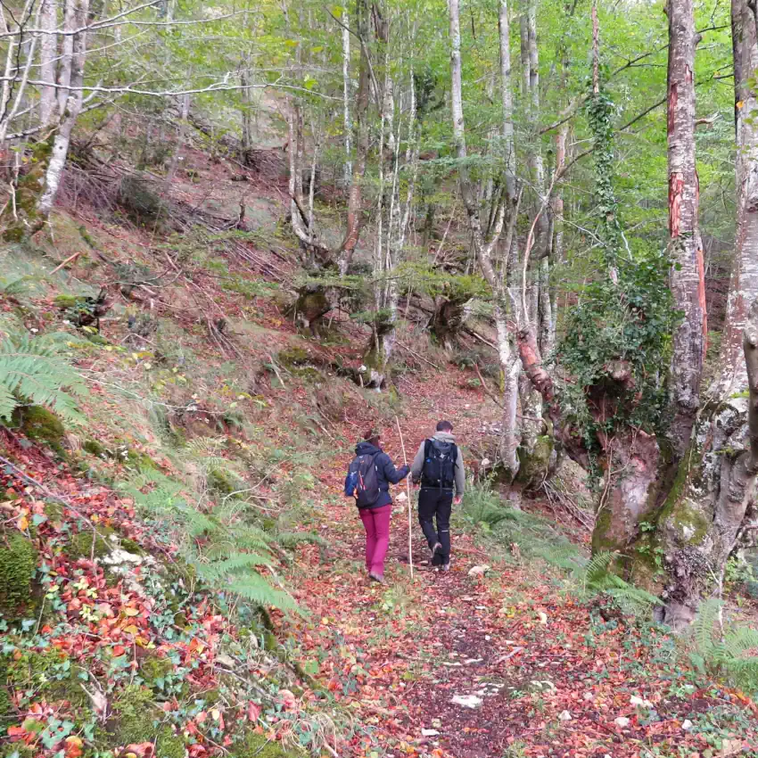 Ruta Guiada Parque Natural Somiedo (6-8 horas)